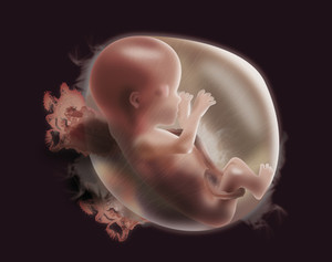 BABY2